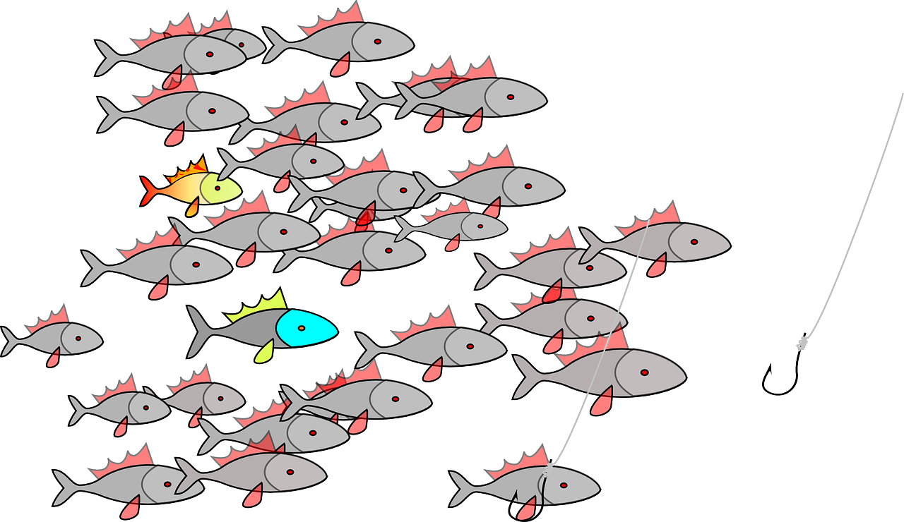 fishingswarm fishingswarm
